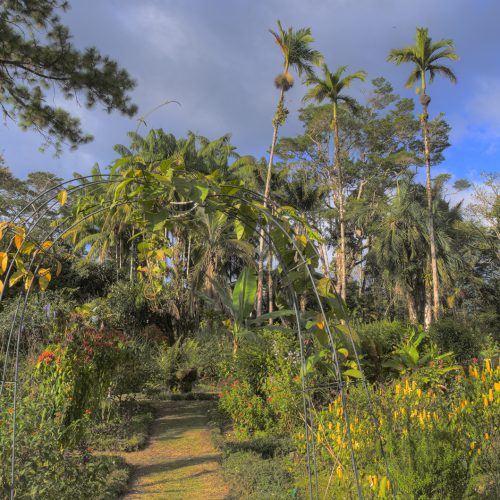 _DSC9156_JW _DSC9156_JW